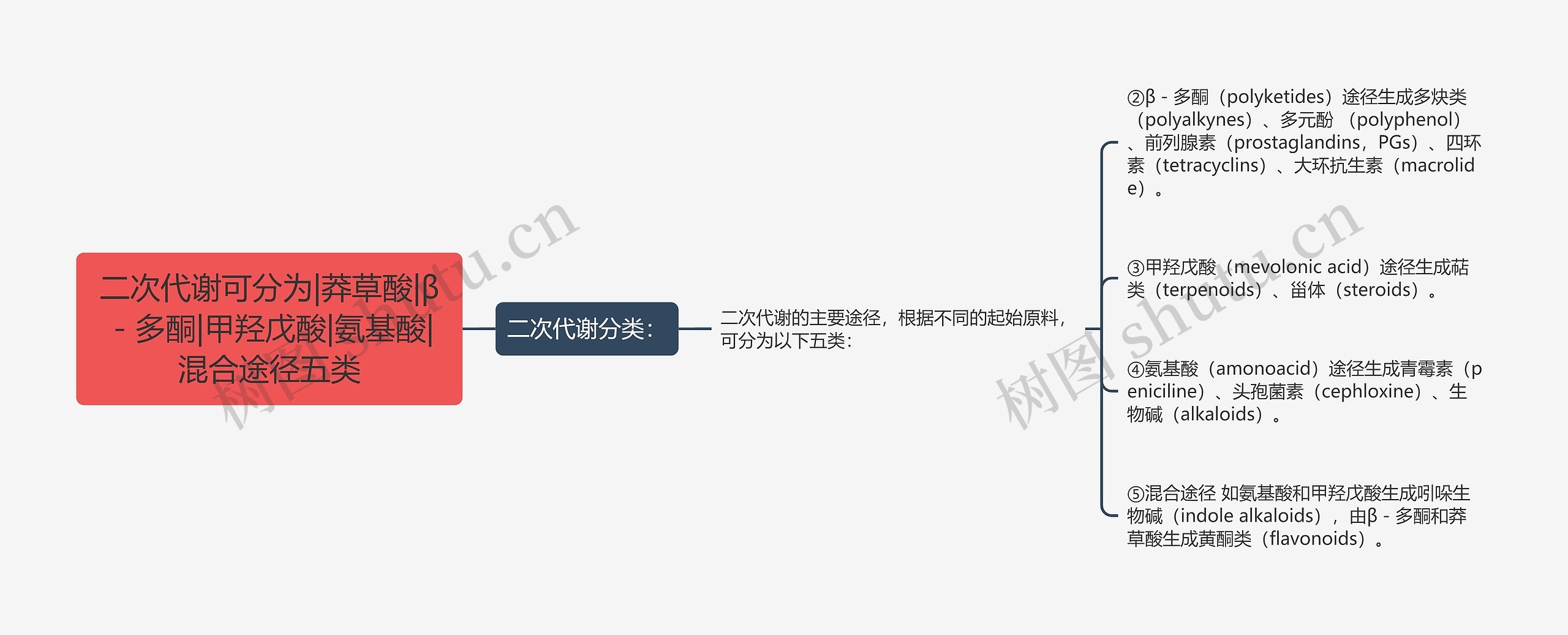 二次代谢可分为|莽草酸|β-多酮|甲羟戊酸|氨基酸|混合途径五类 二次代谢可分为|莽草酸|β-多酮|甲羟戊酸|氨基酸|混合途径五类