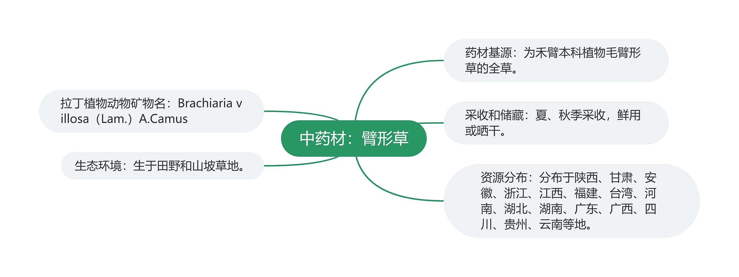 中药材：臂形草思维导图