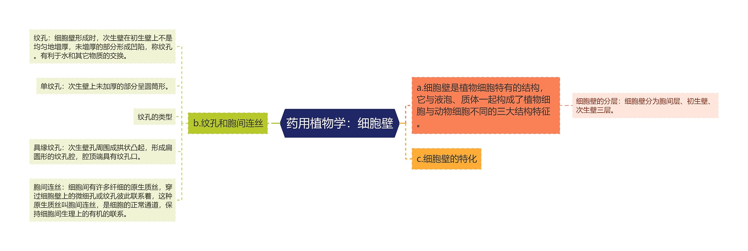 药用植物学：细胞壁