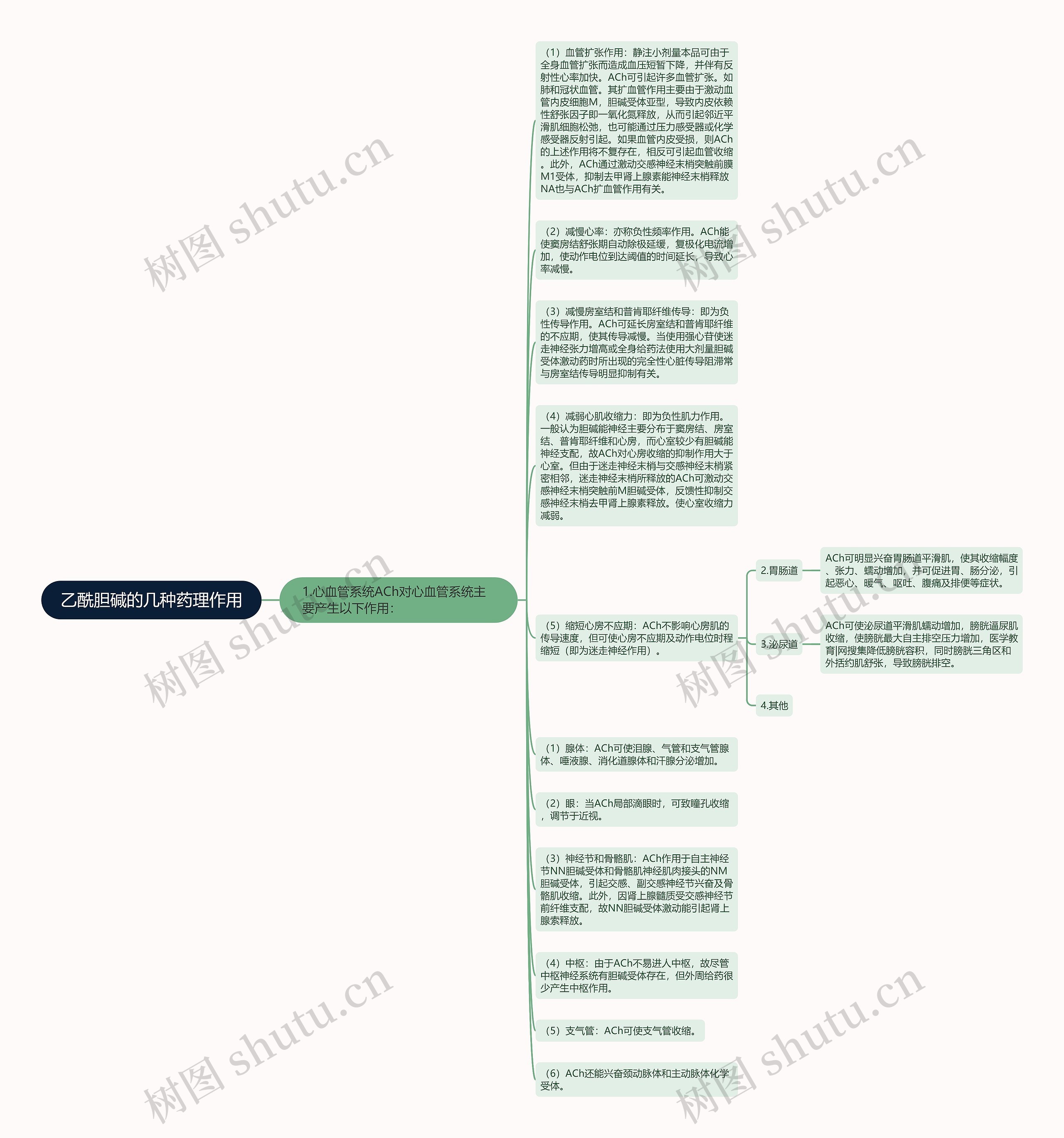 乙酰胆碱的几种药理作用思维导图