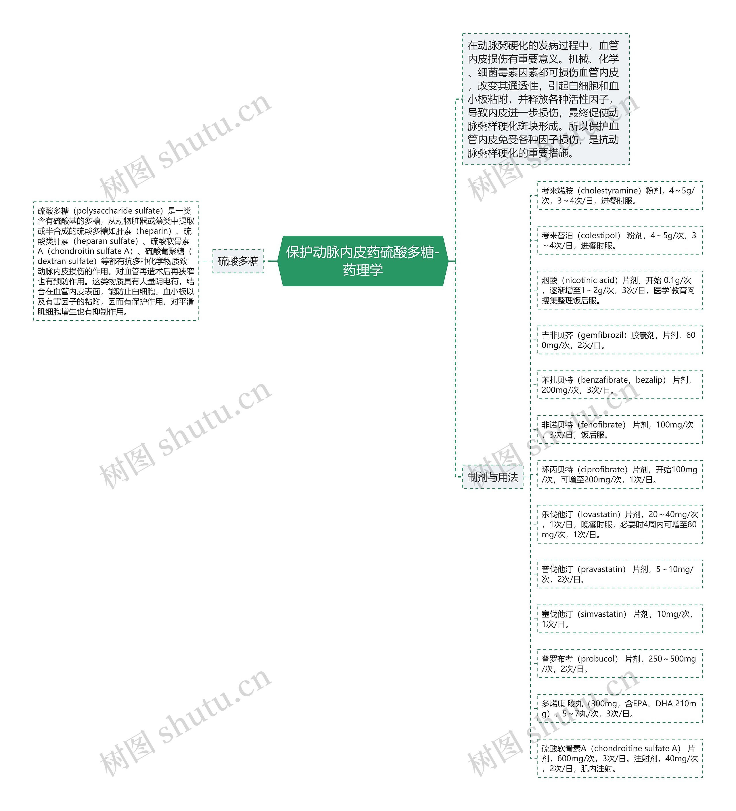 保护动脉内皮药硫酸多糖-药理学