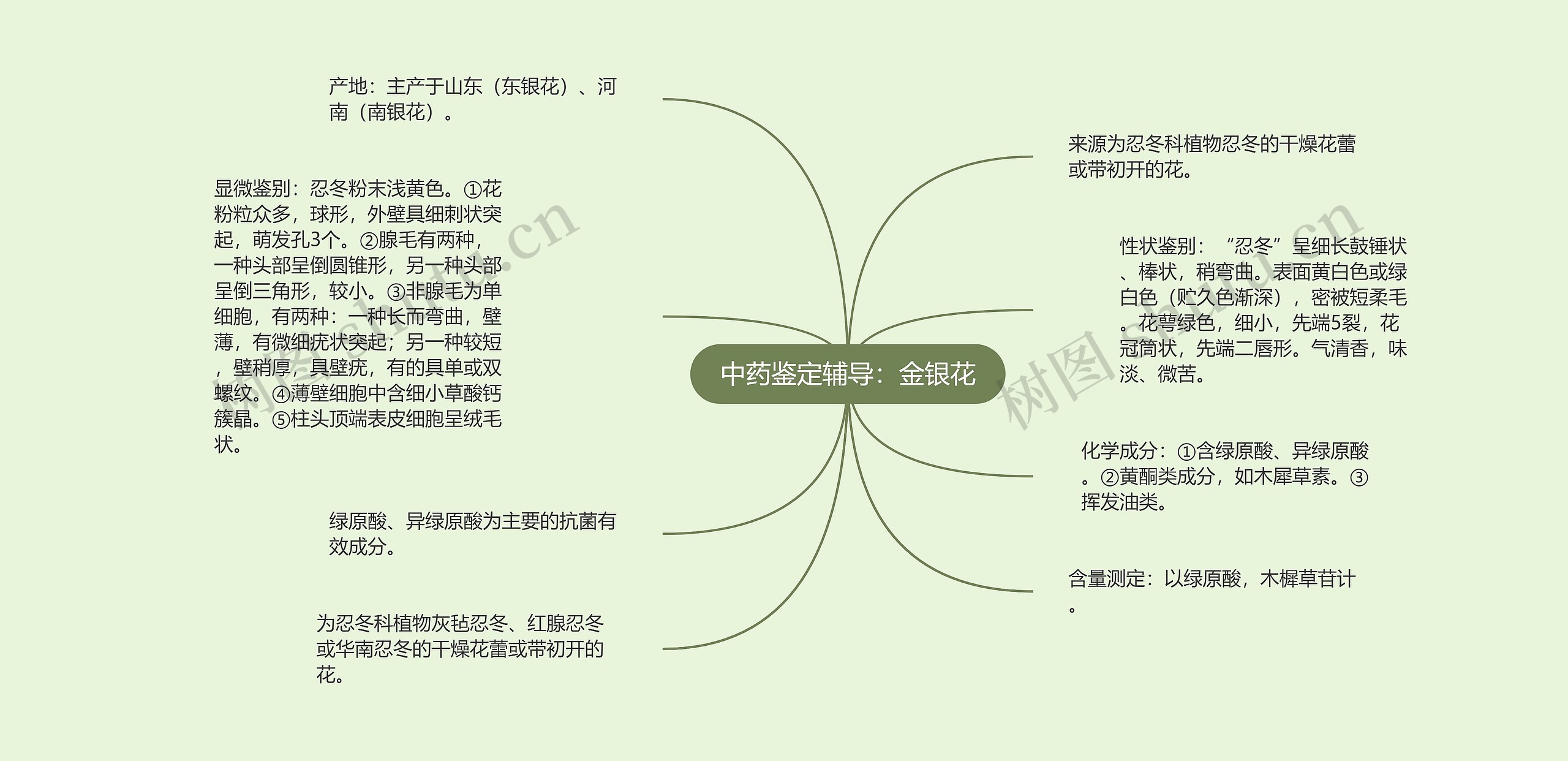 中药鉴定辅导:金银花 中药鉴定辅导:金银花