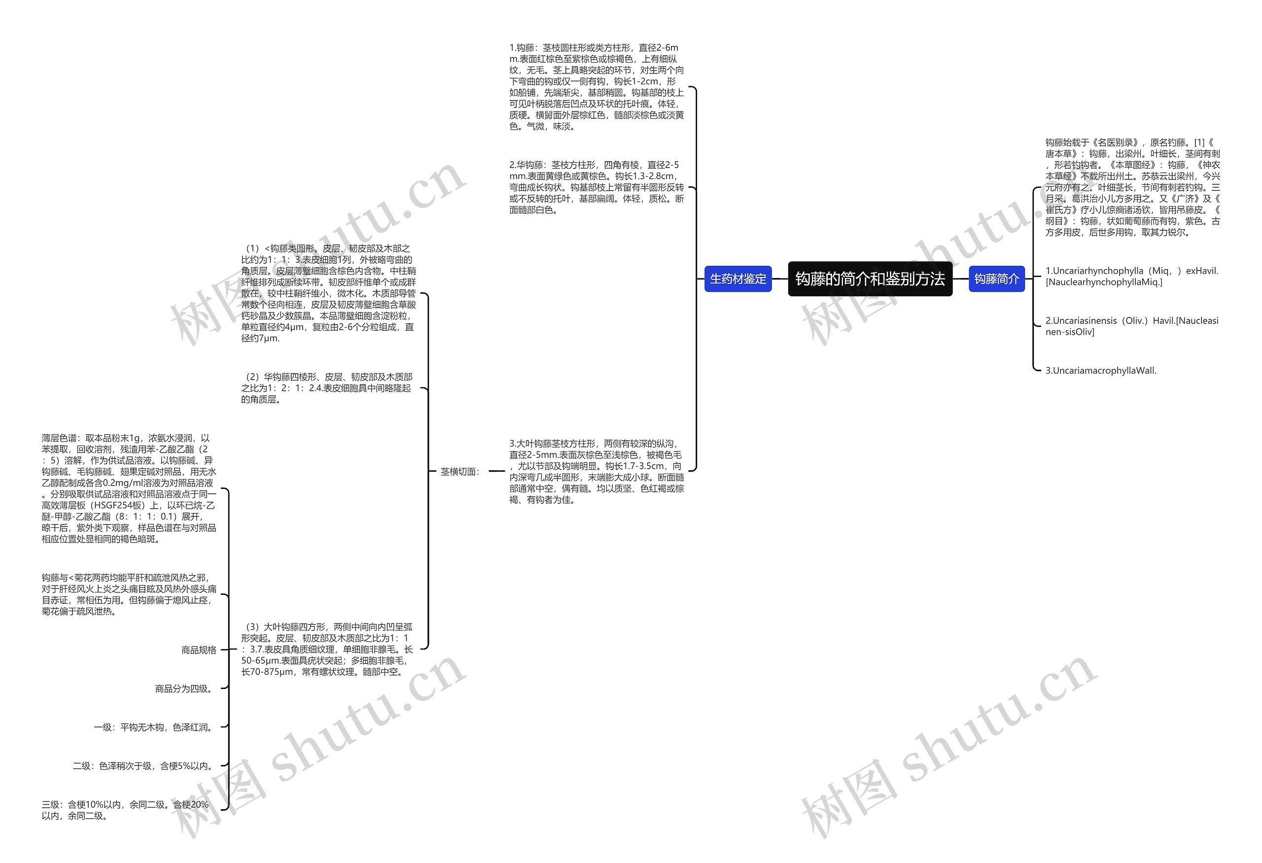 钩藤的简介和鉴别方法 钩藤的简介和鉴别方法