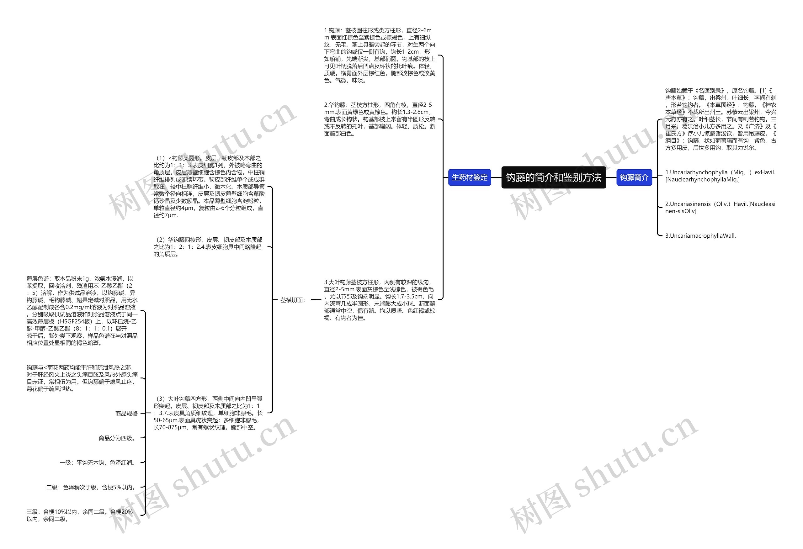 钩藤的简介和鉴别方法思维导图