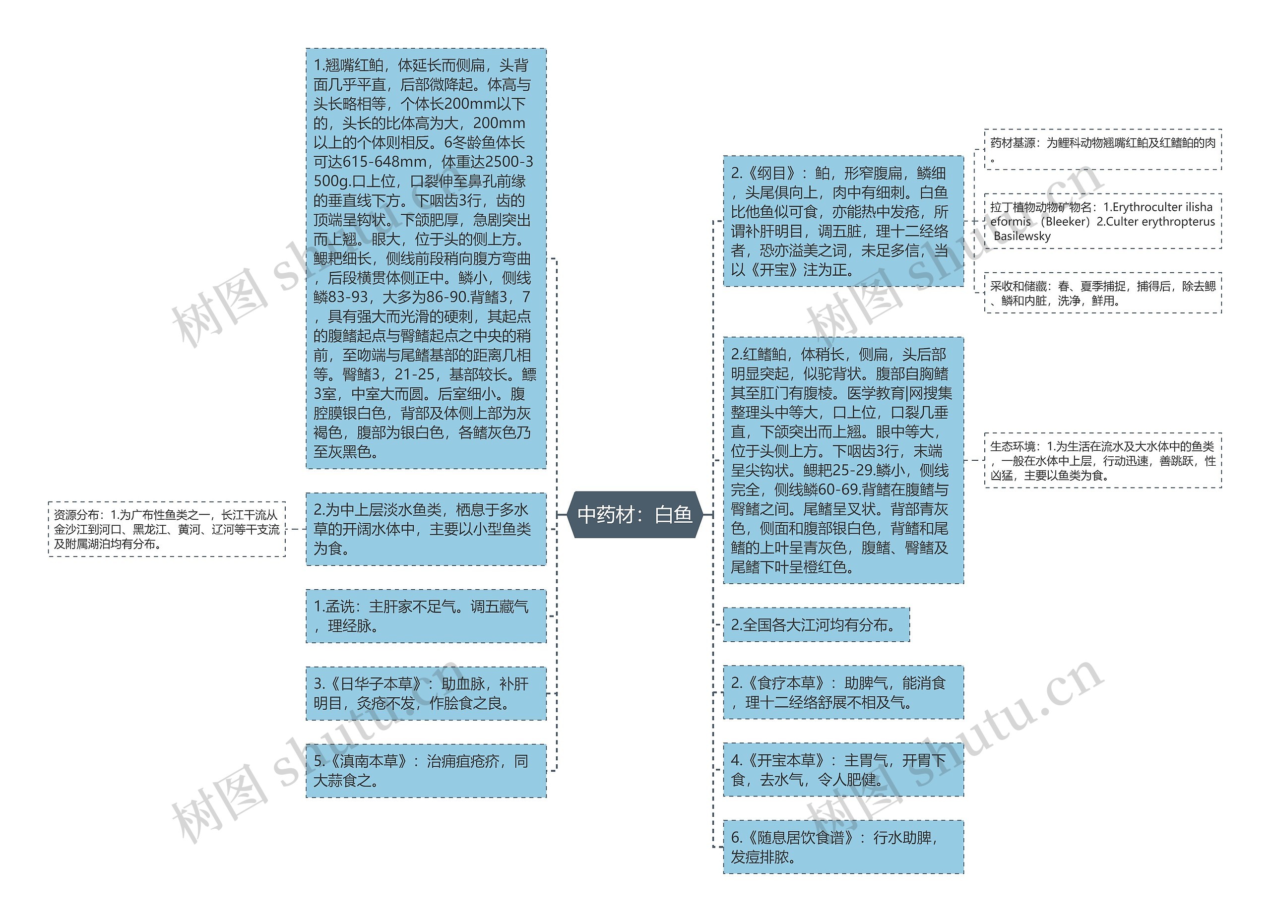 中药材：白鱼思维导图