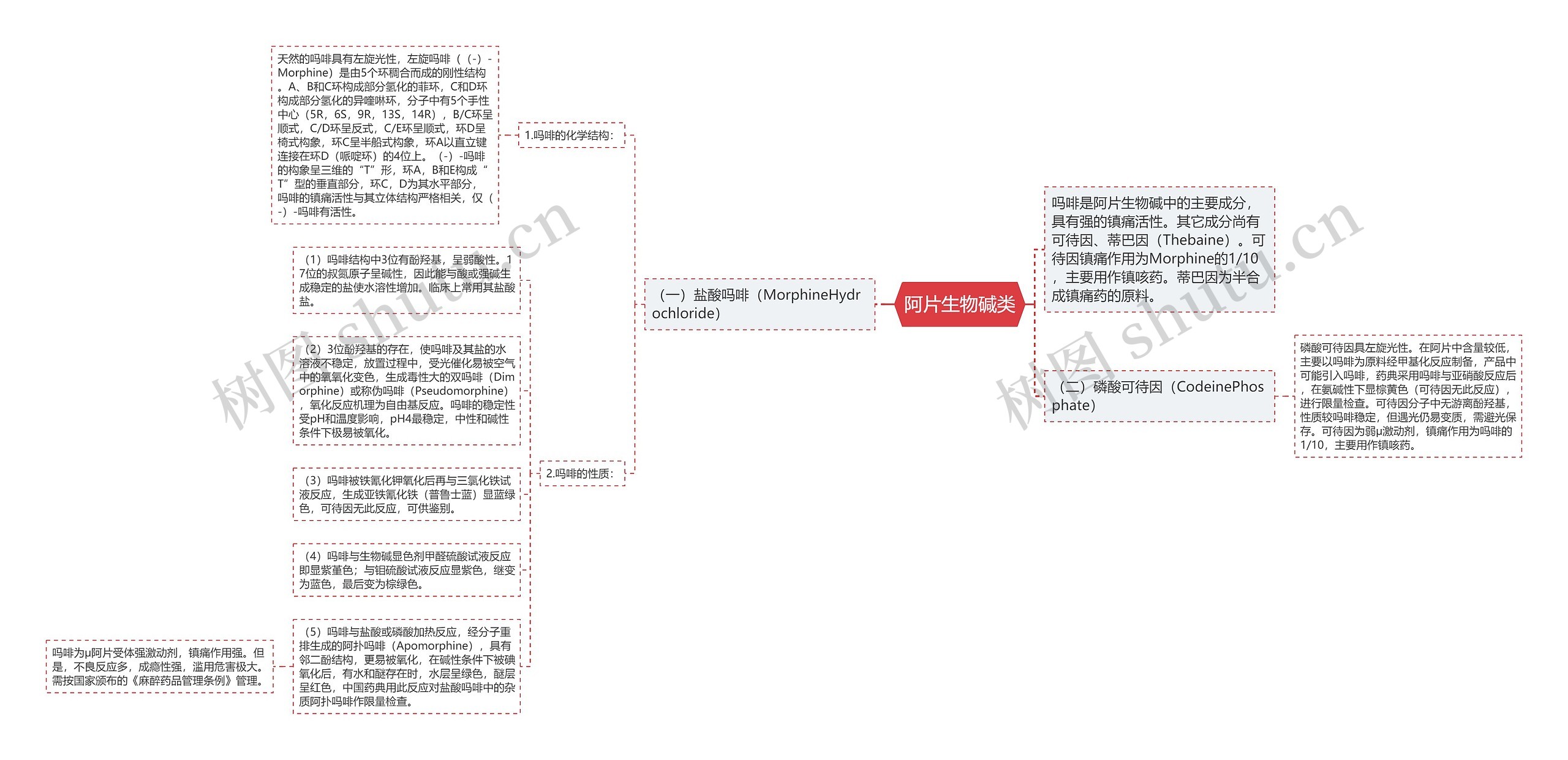 阿片生物碱类思维导图