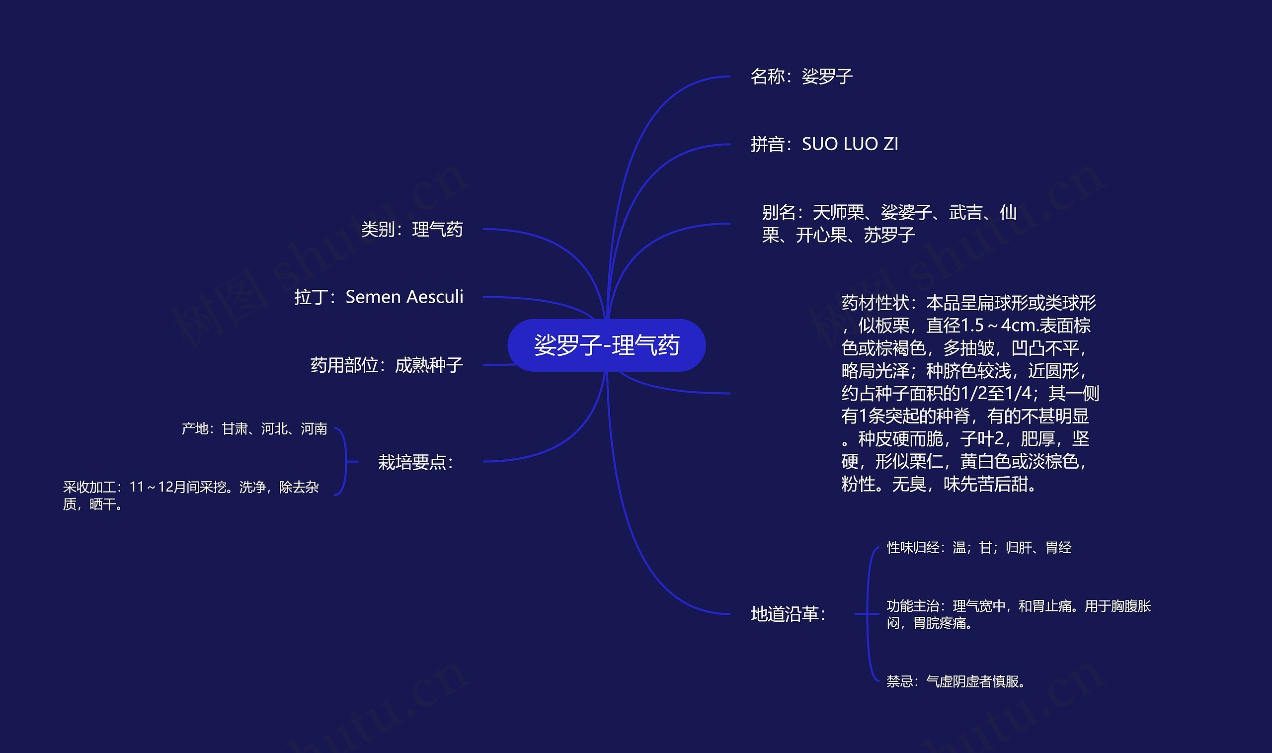 娑罗子-理气药思维导图