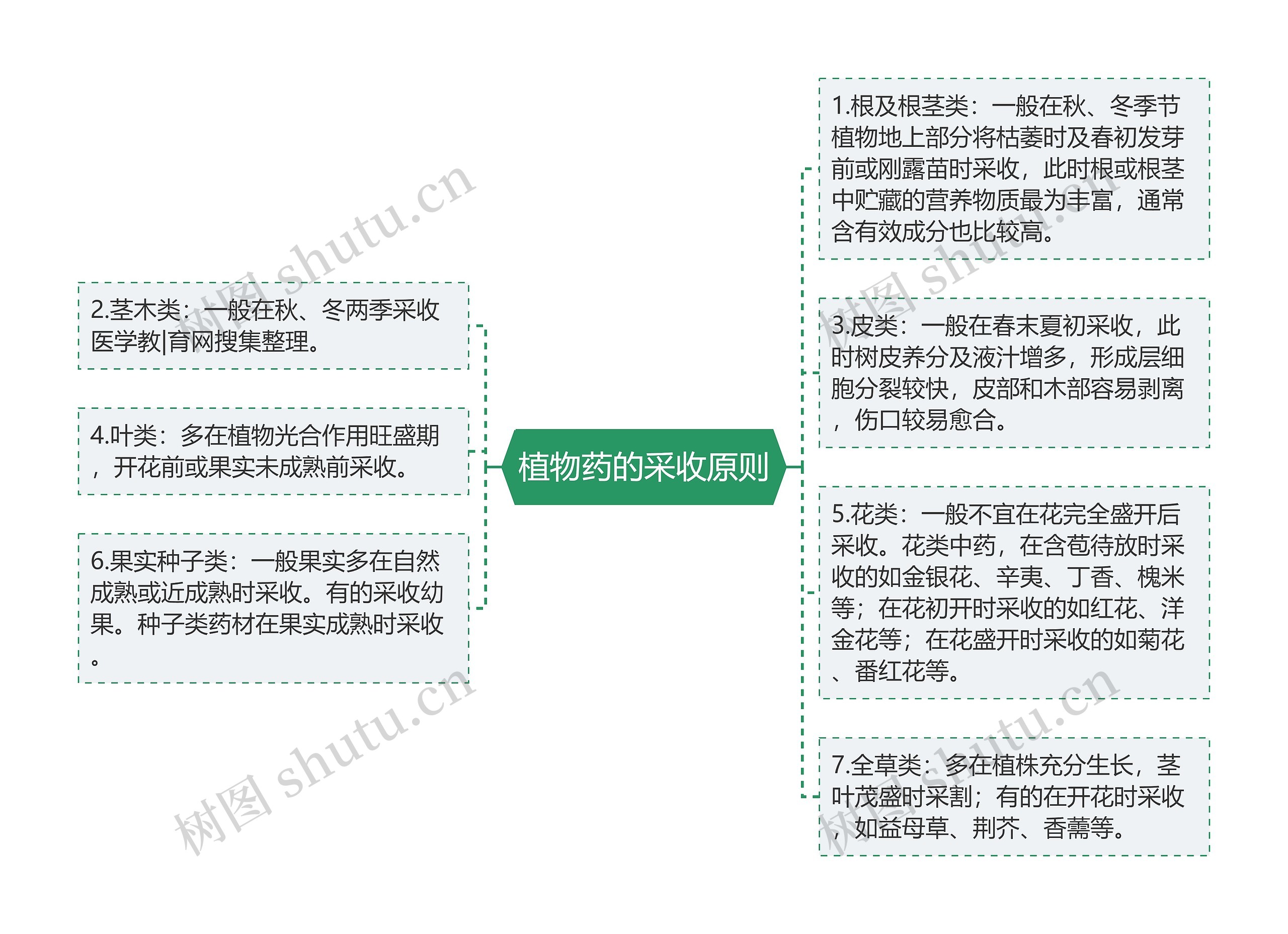 植物药的采收原则思维导图