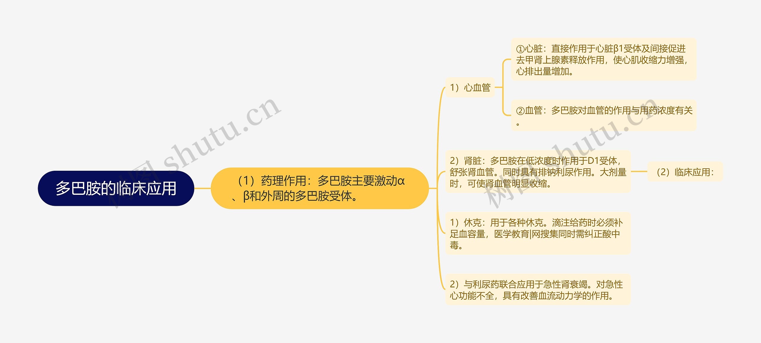 多巴胺的临床应用思维导图