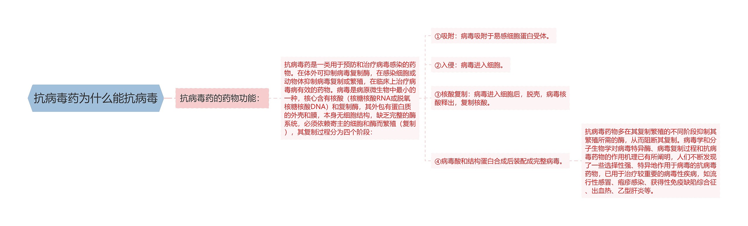 抗病毒药为什么能抗病毒