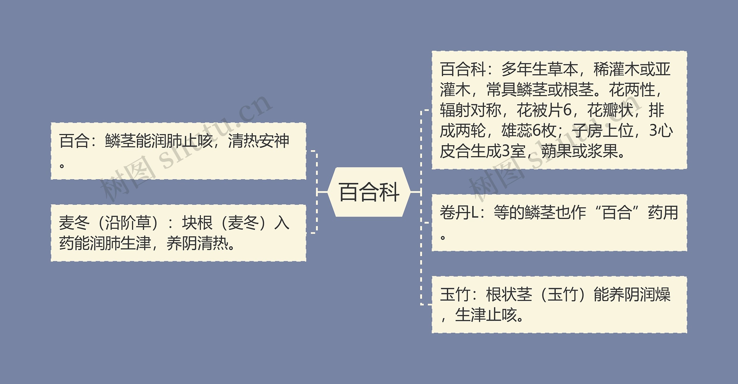 百合科思维导图