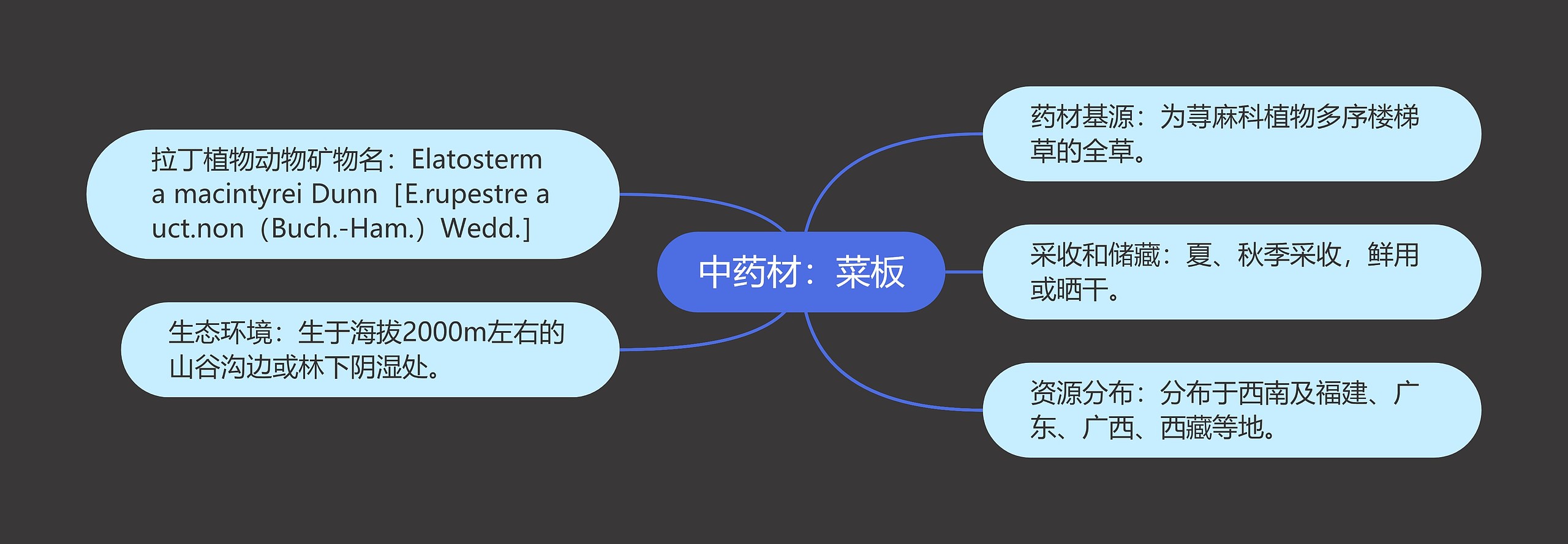 中药材：菜板思维导图