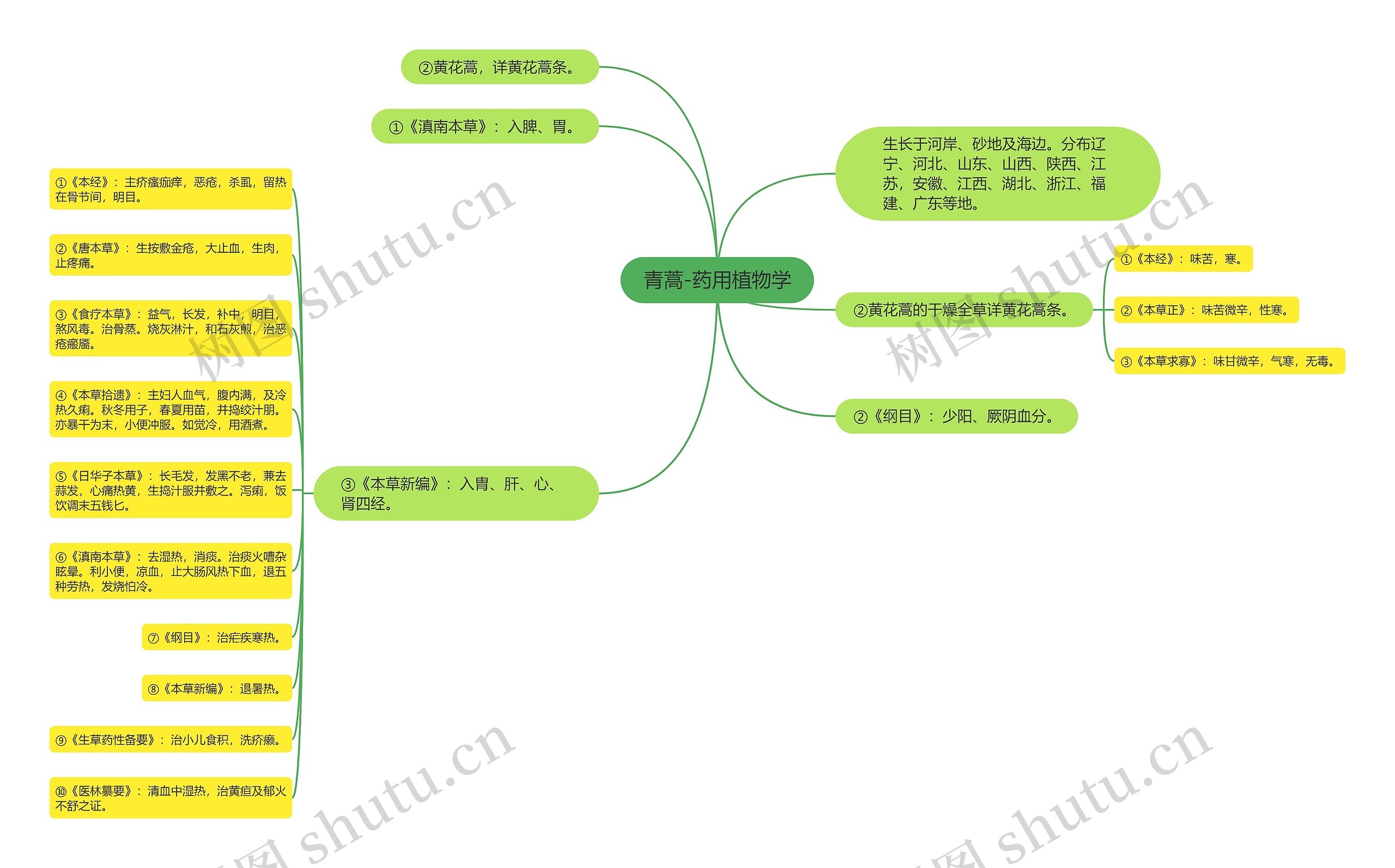 青蒿-药用植物学 青蒿-药用植物学