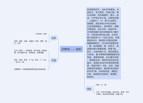 动物类——蛤蚧