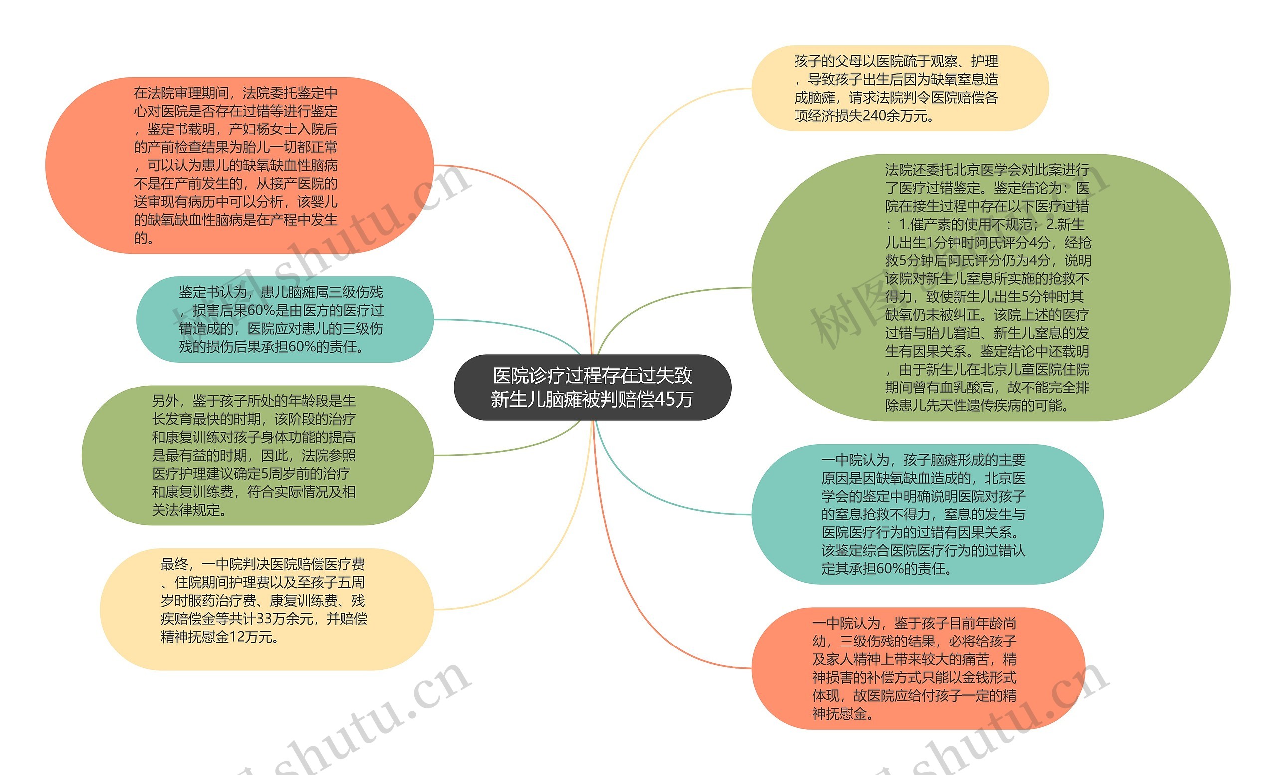 医院诊疗过程存在过失致新生儿脑瘫被判赔偿45万思维导图