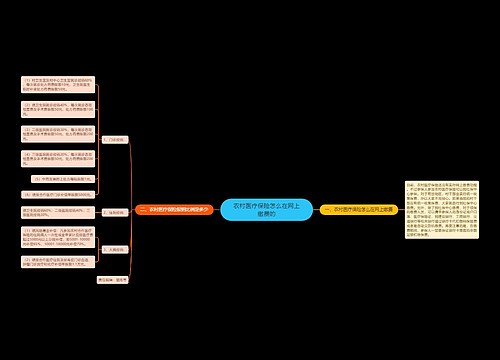 农村医疗保险怎么在网上缴费的