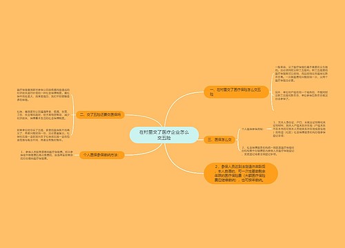 在村里交了医疗企业怎么交五险