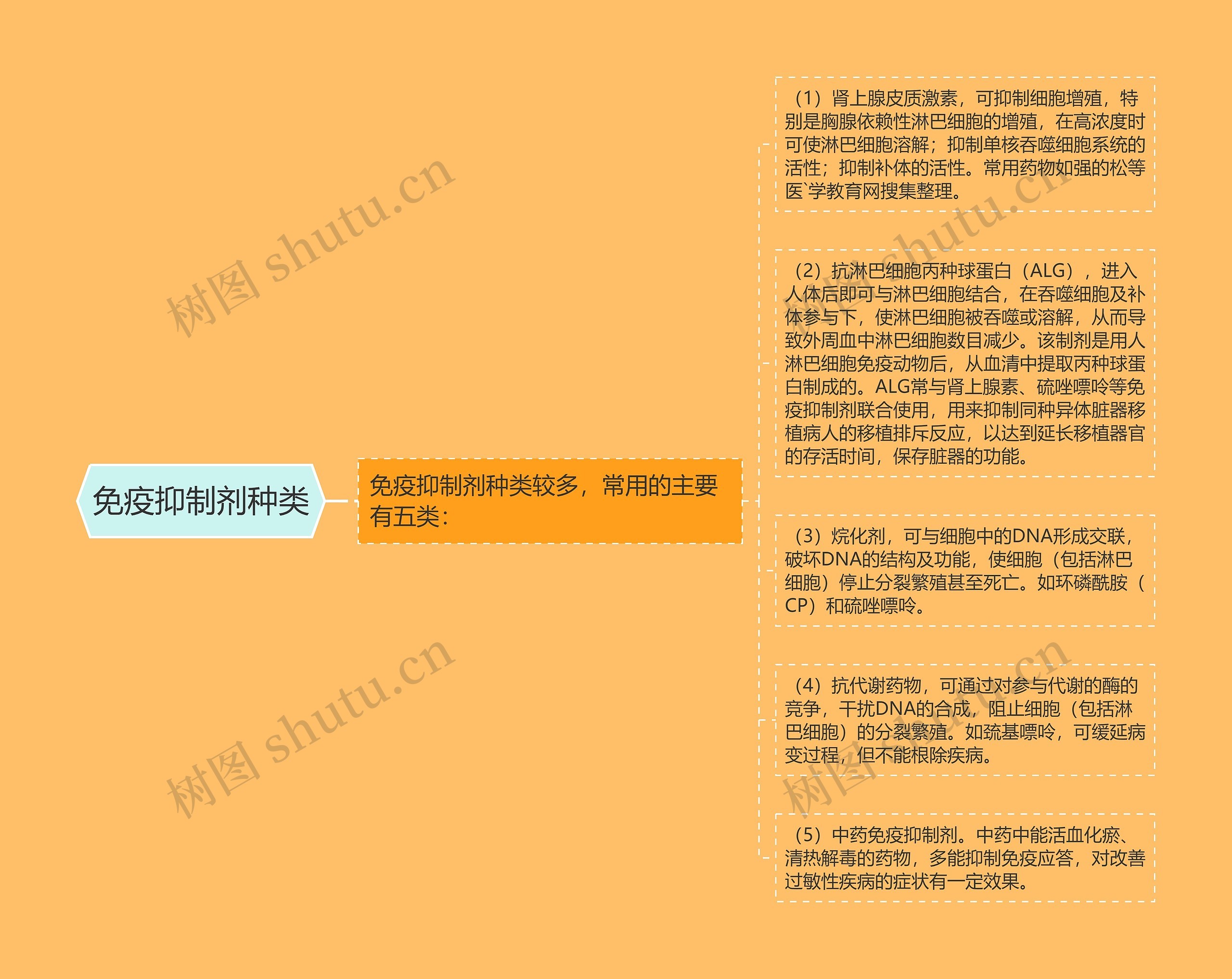 免疫抑制剂种类思维导图