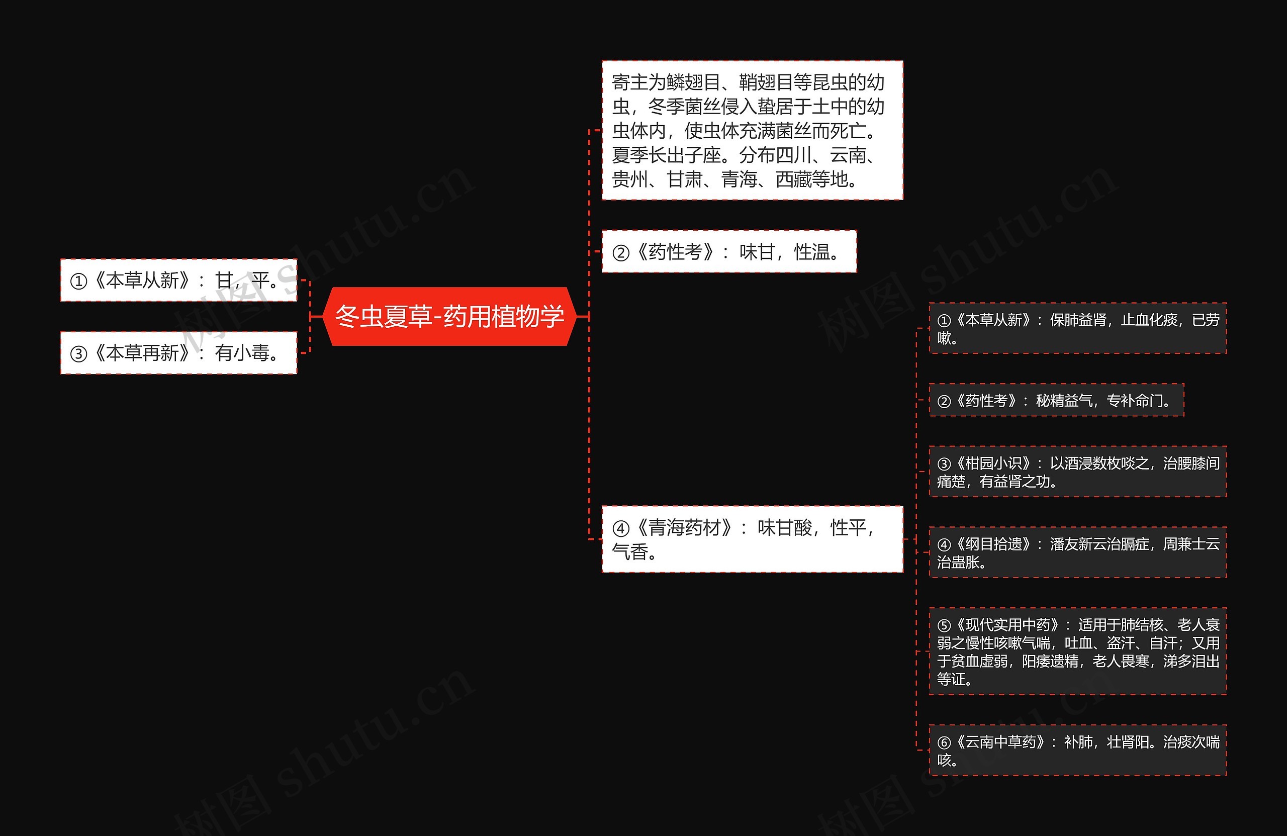 冬虫夏草-药用植物学思维导图