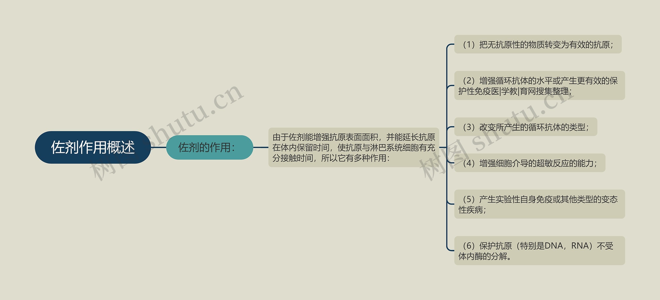 佐剂作用概述思维导图