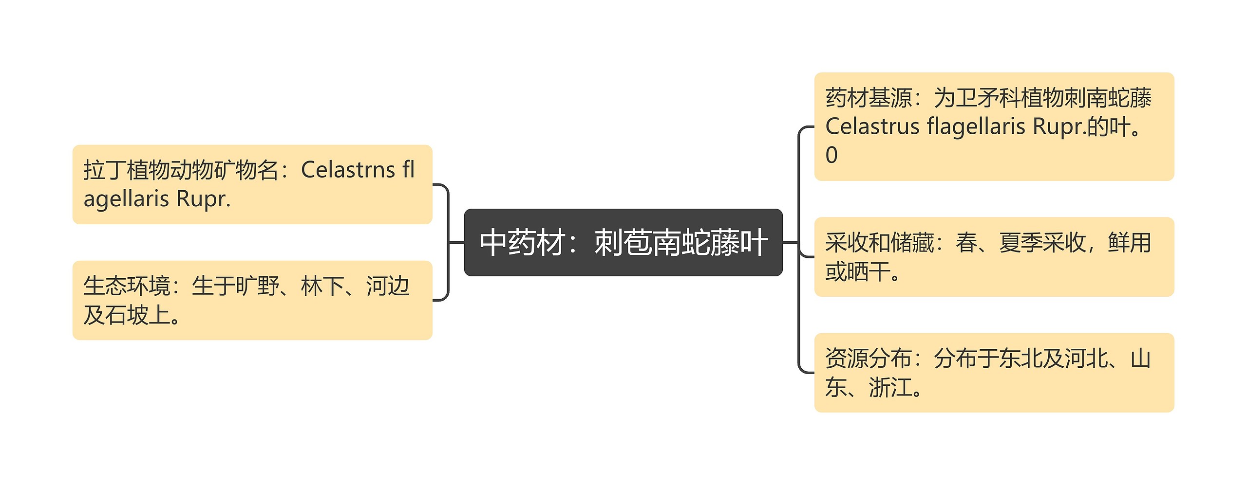 中药材：刺苞南蛇藤叶