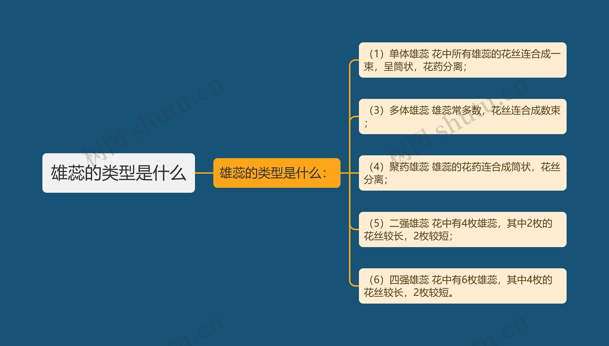 雄蕊的类型是什么思维导图