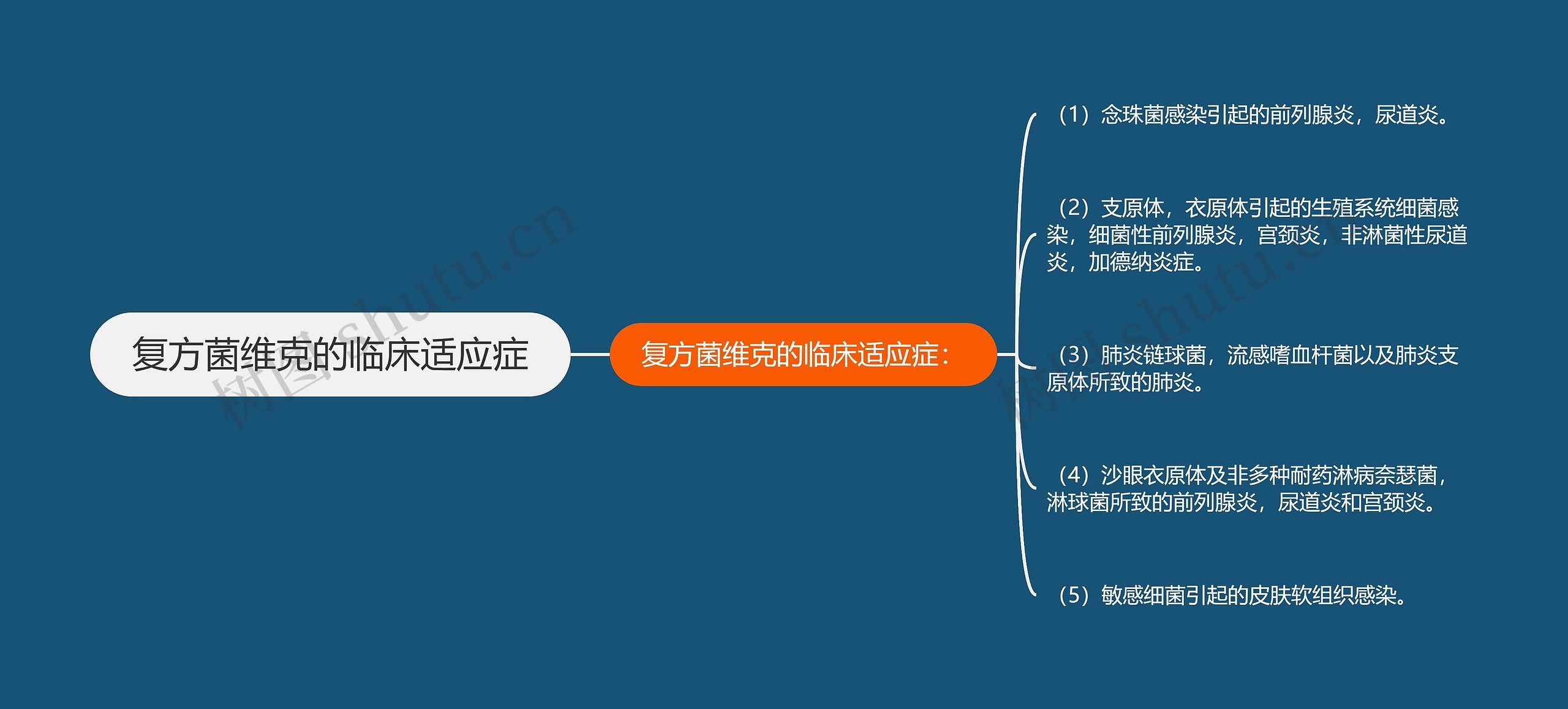 复方菌维克的临床适应症
