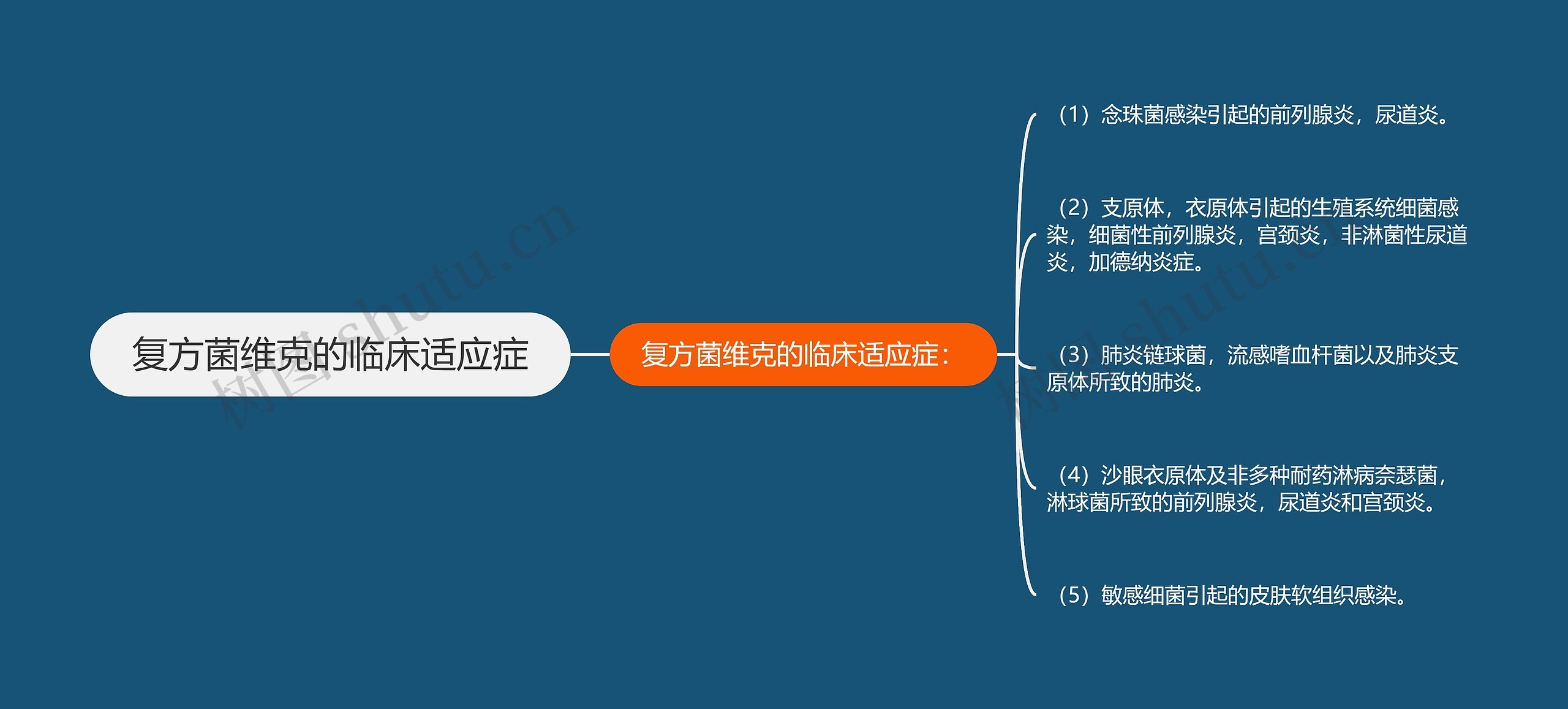 复方菌维克的临床适应症思维导图