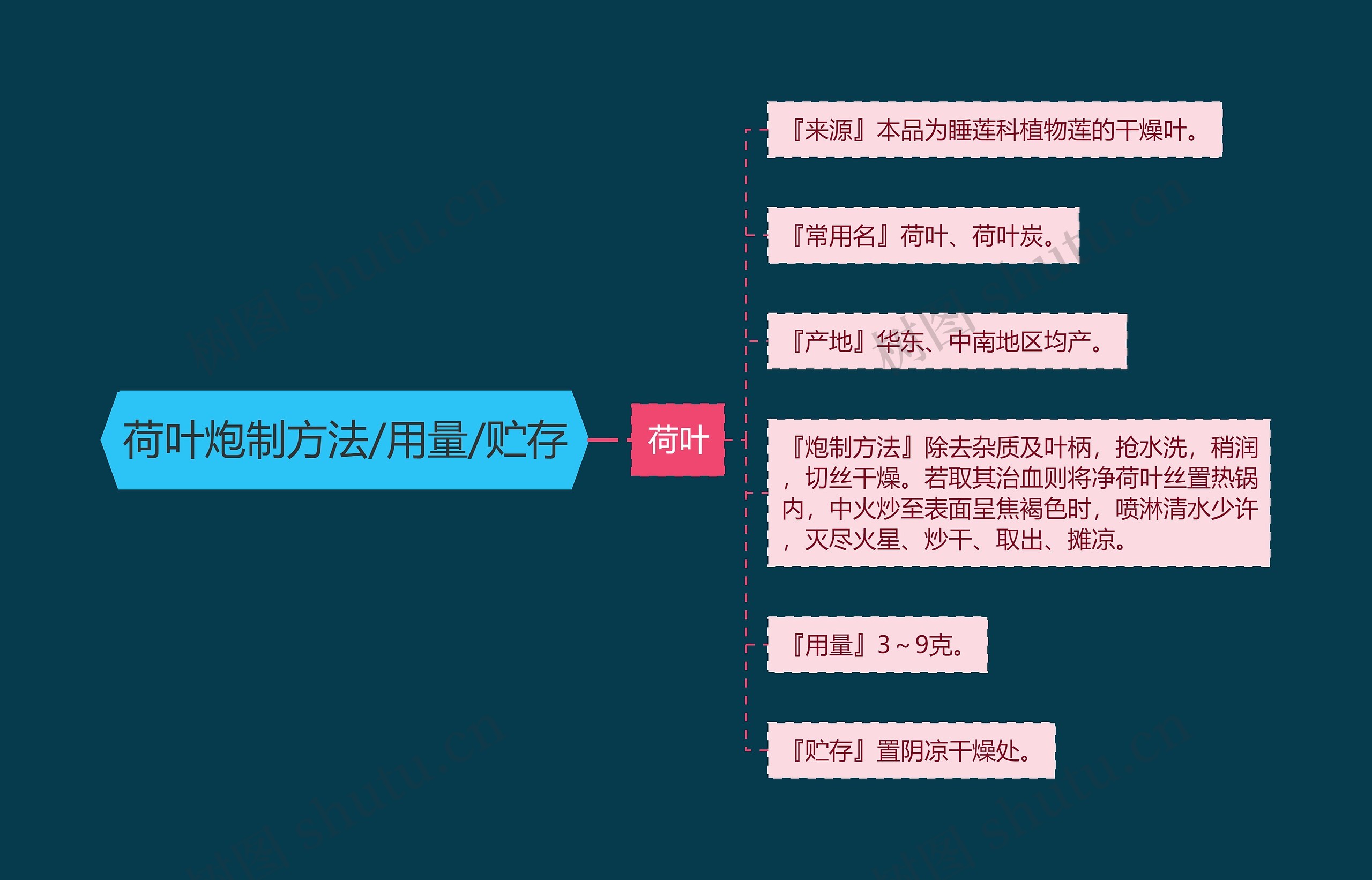 荷叶炮制方法/用量/贮存思维导图