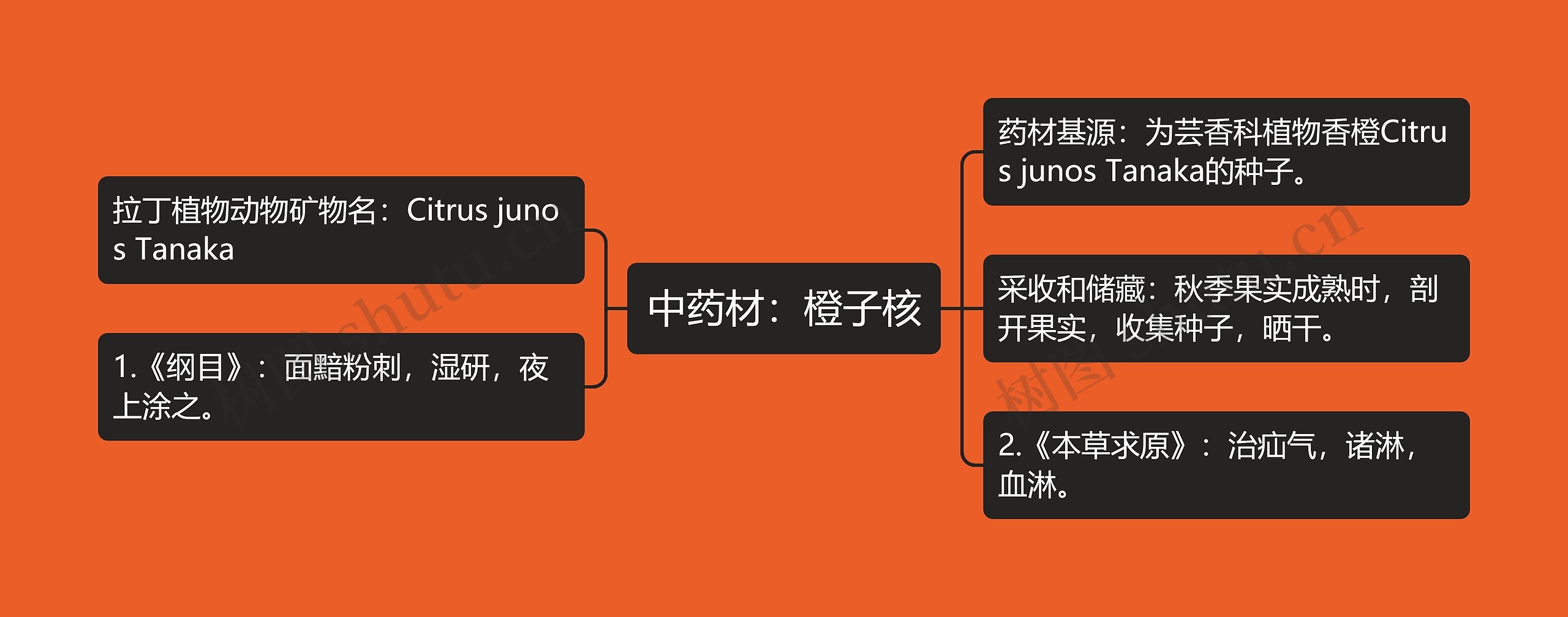 中药材：橙子核