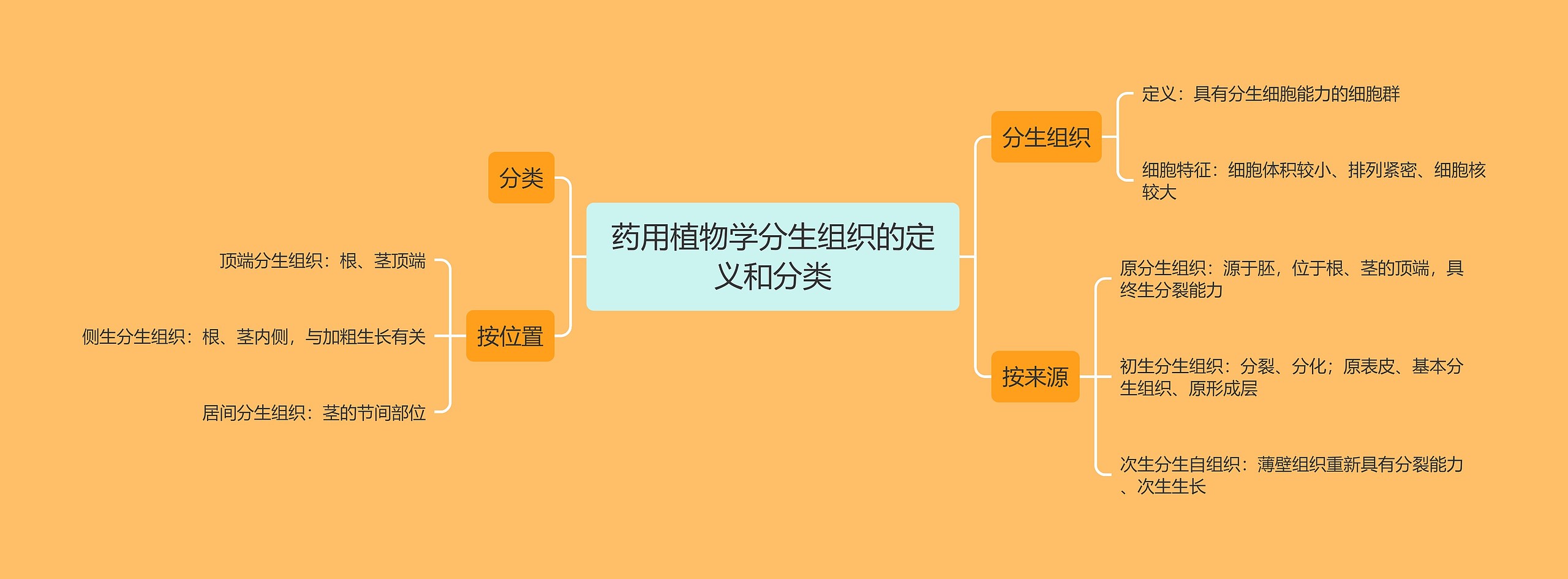 药用植物学分生组织的定义和分类思维导图