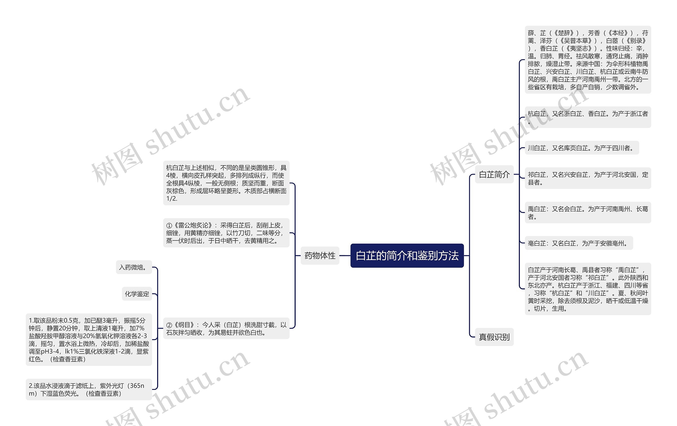 白芷的简介和鉴别方法 白芷的简介和鉴别方法