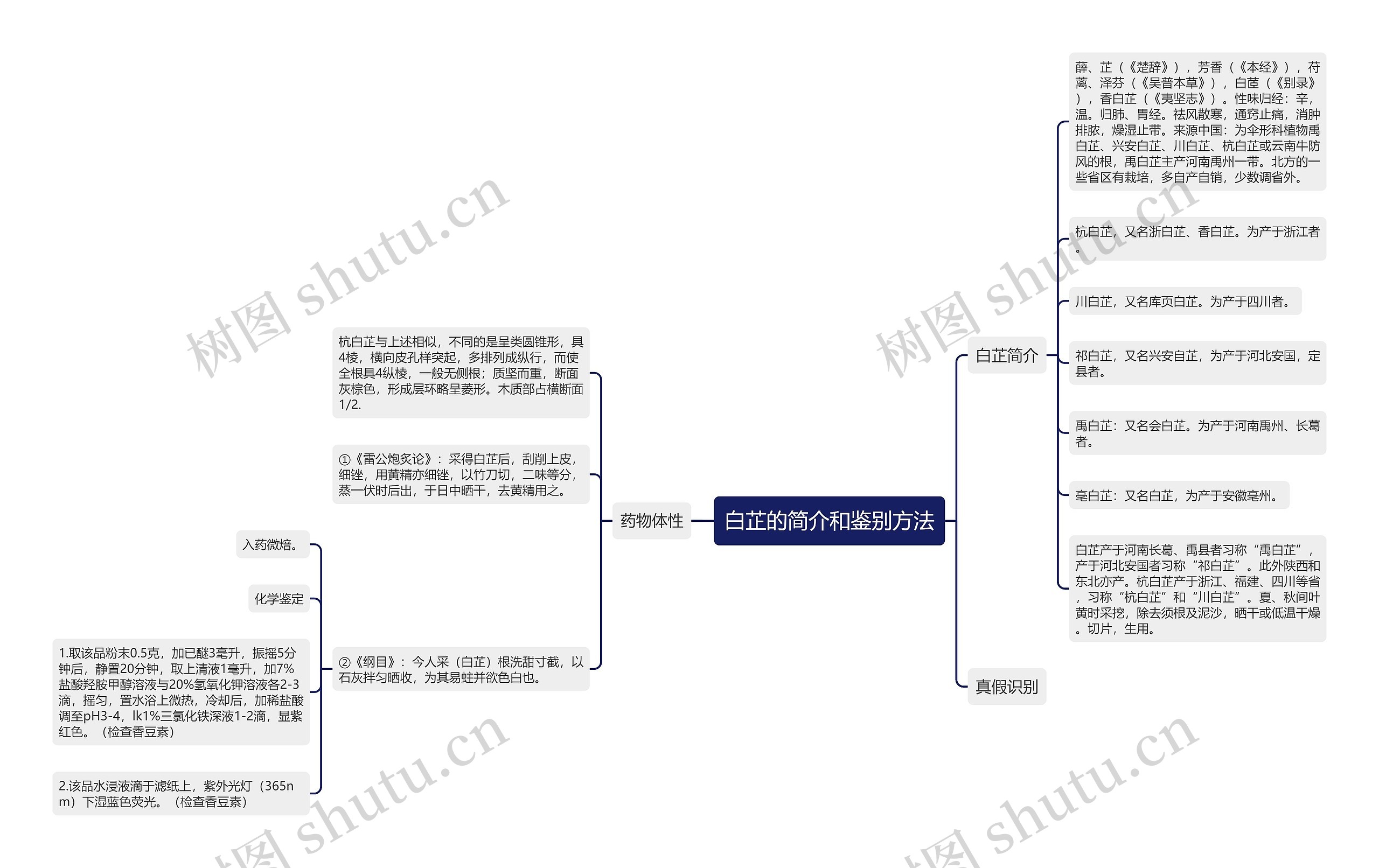 白芷的简介和鉴别方法思维导图