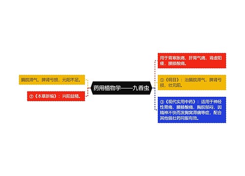 药用植物学——九香虫思维导图