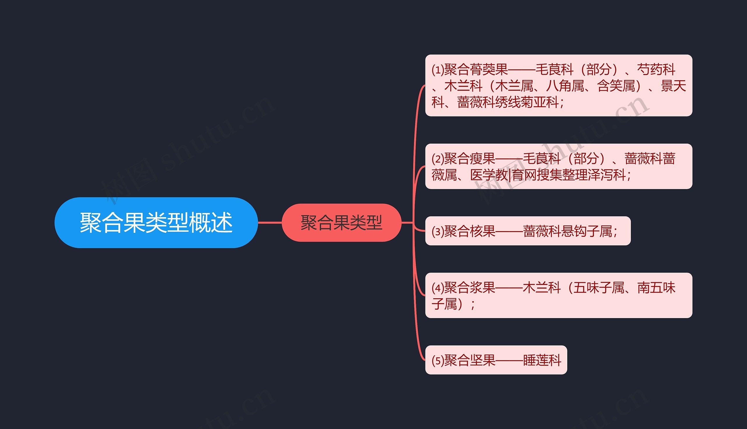 聚合果类型概述