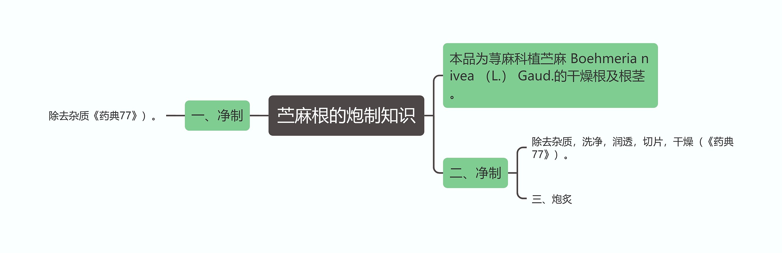 苎麻根的炮制知识思维导图