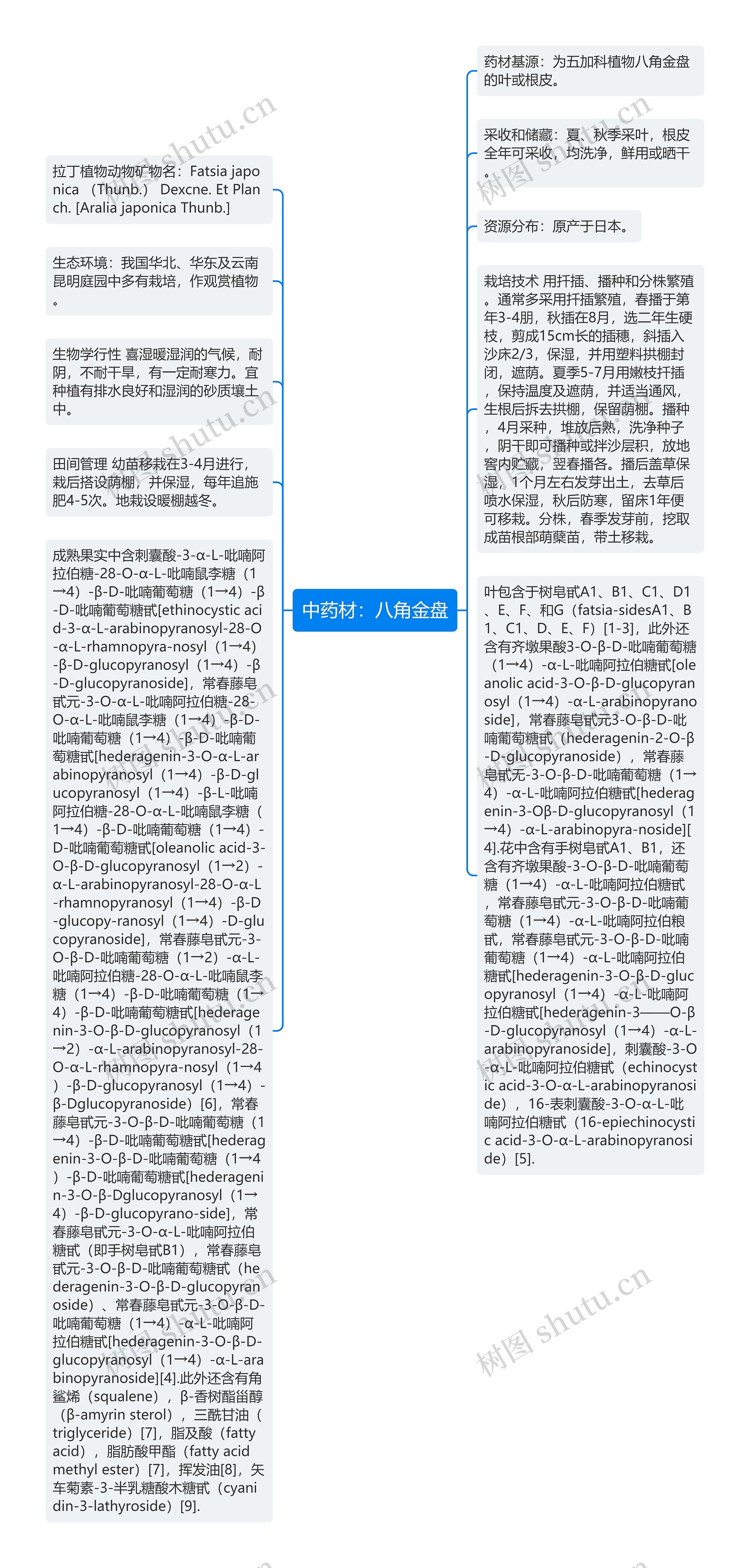 中药材：八角金盘