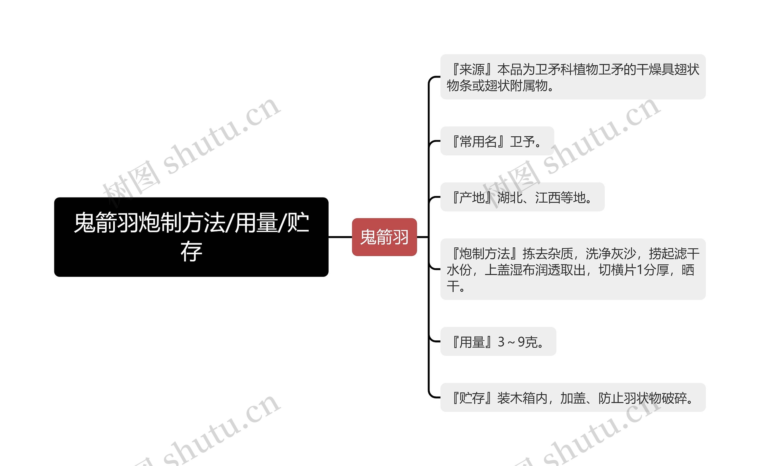 鬼箭羽炮制方法/用量/贮存思维导图