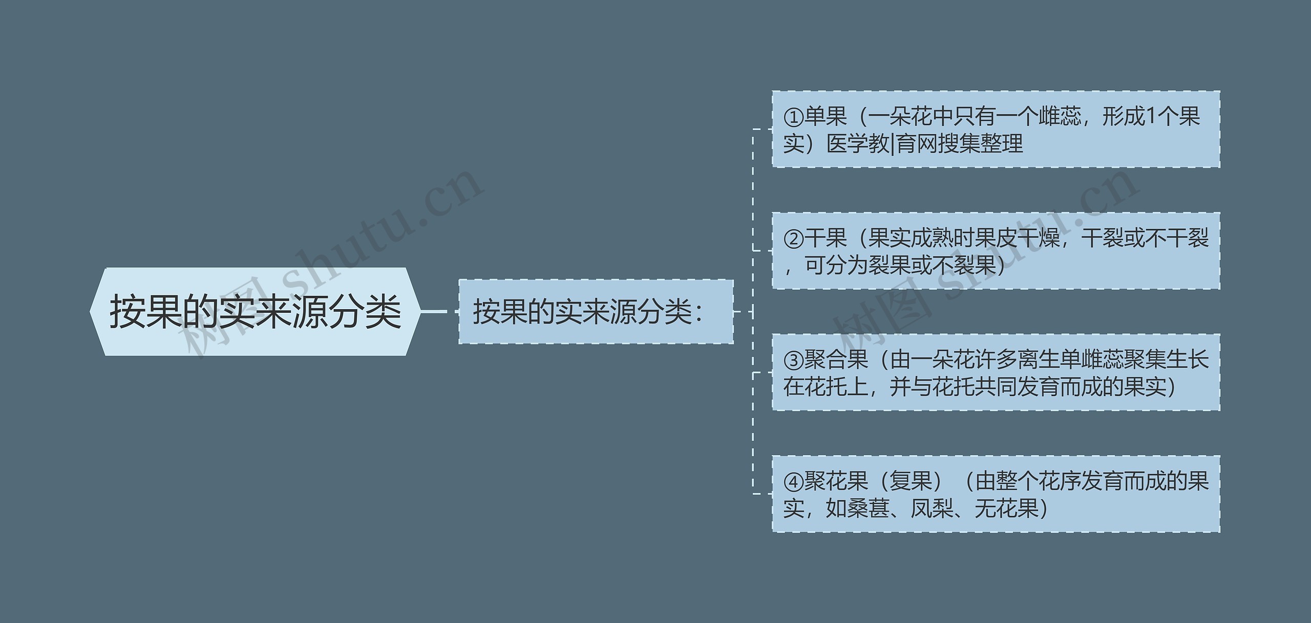 按果的实来源分类思维导图