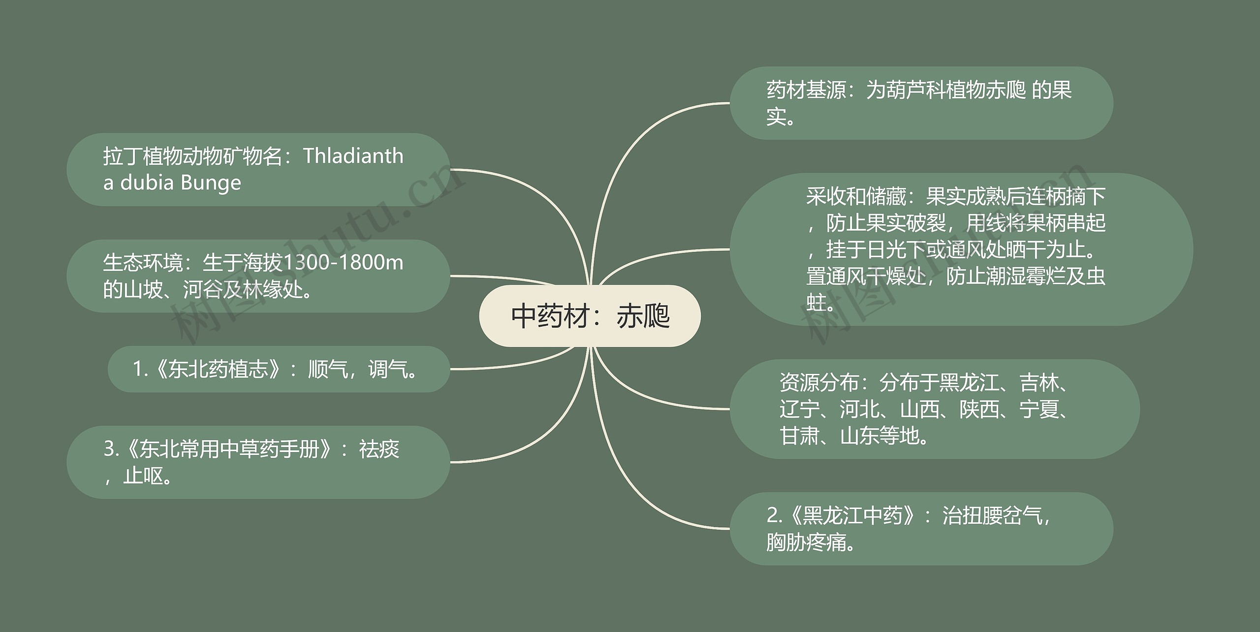 中药材：赤瓟思维导图