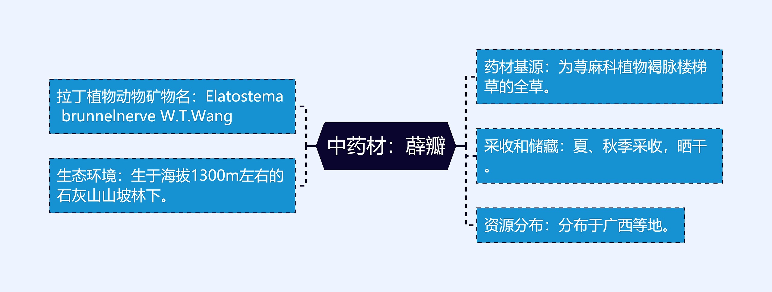 中药材：薜瓣思维导图