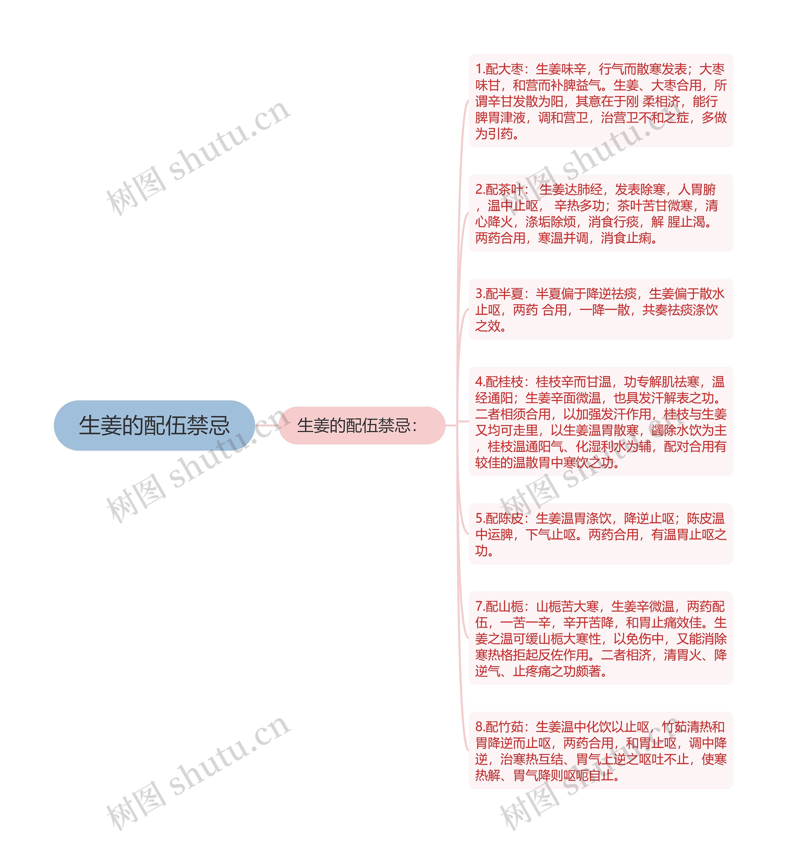 生姜的配伍禁忌思维导图