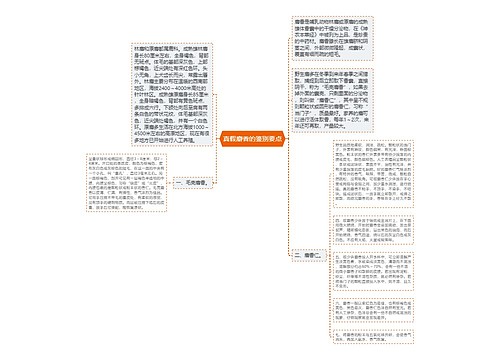 真假麝香的鉴别要点