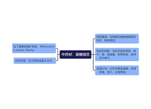 中药材：垂穗荛花