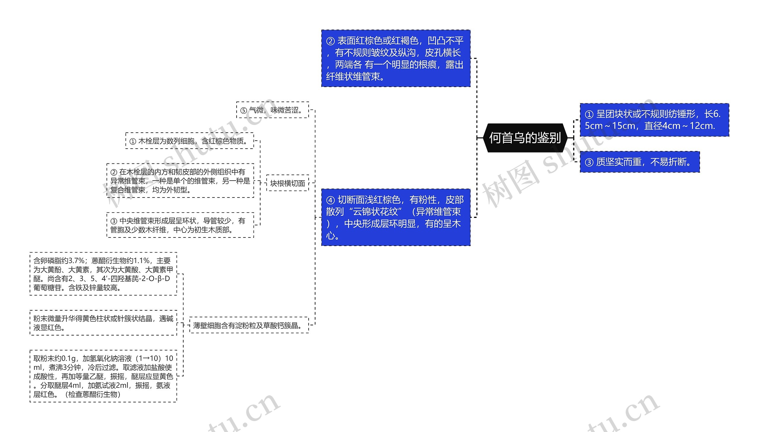 何首乌的鉴别思维导图