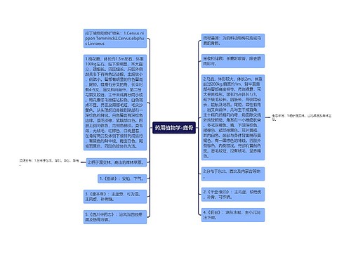 药用植物学-鹿骨