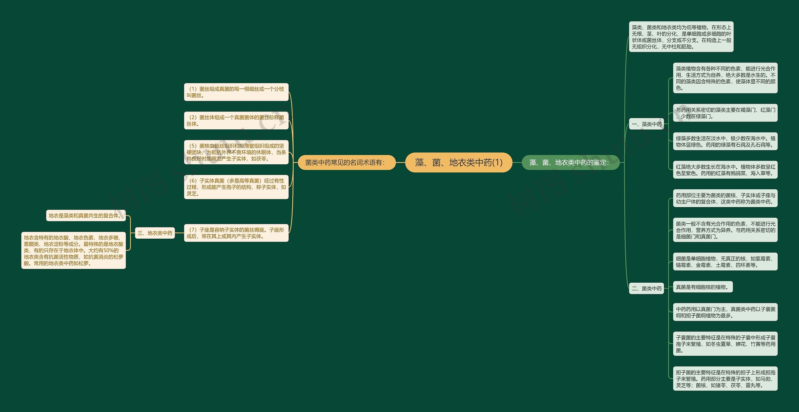 藻、菌、地衣类中药(1)思维导图