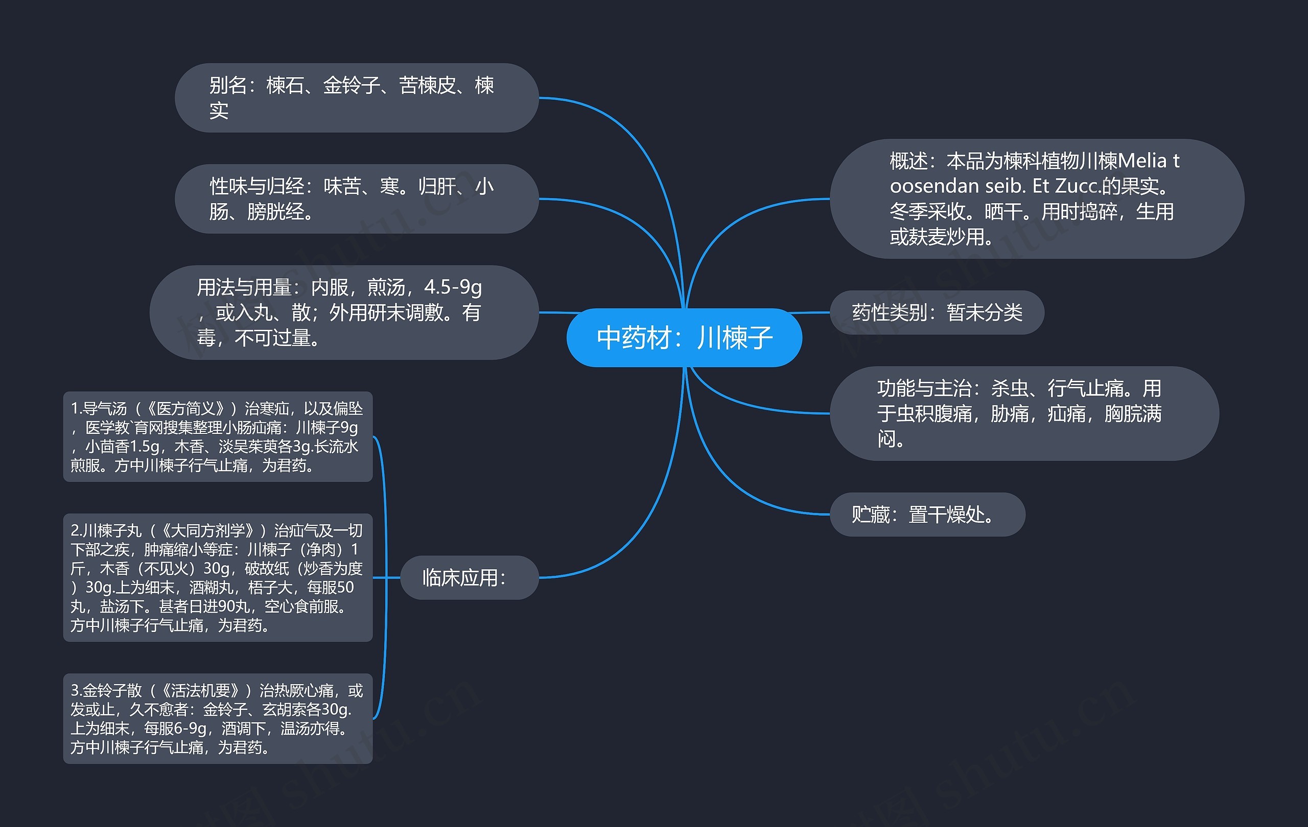 中药材：川楝子思维导图