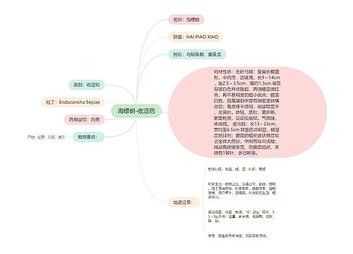 海螵蛸-收涩药