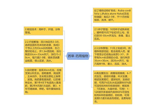 茜草-药用植物思维导图